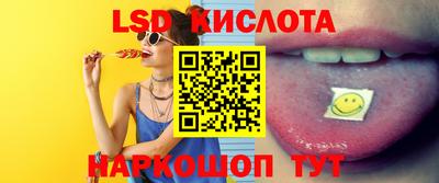 амф Бердск